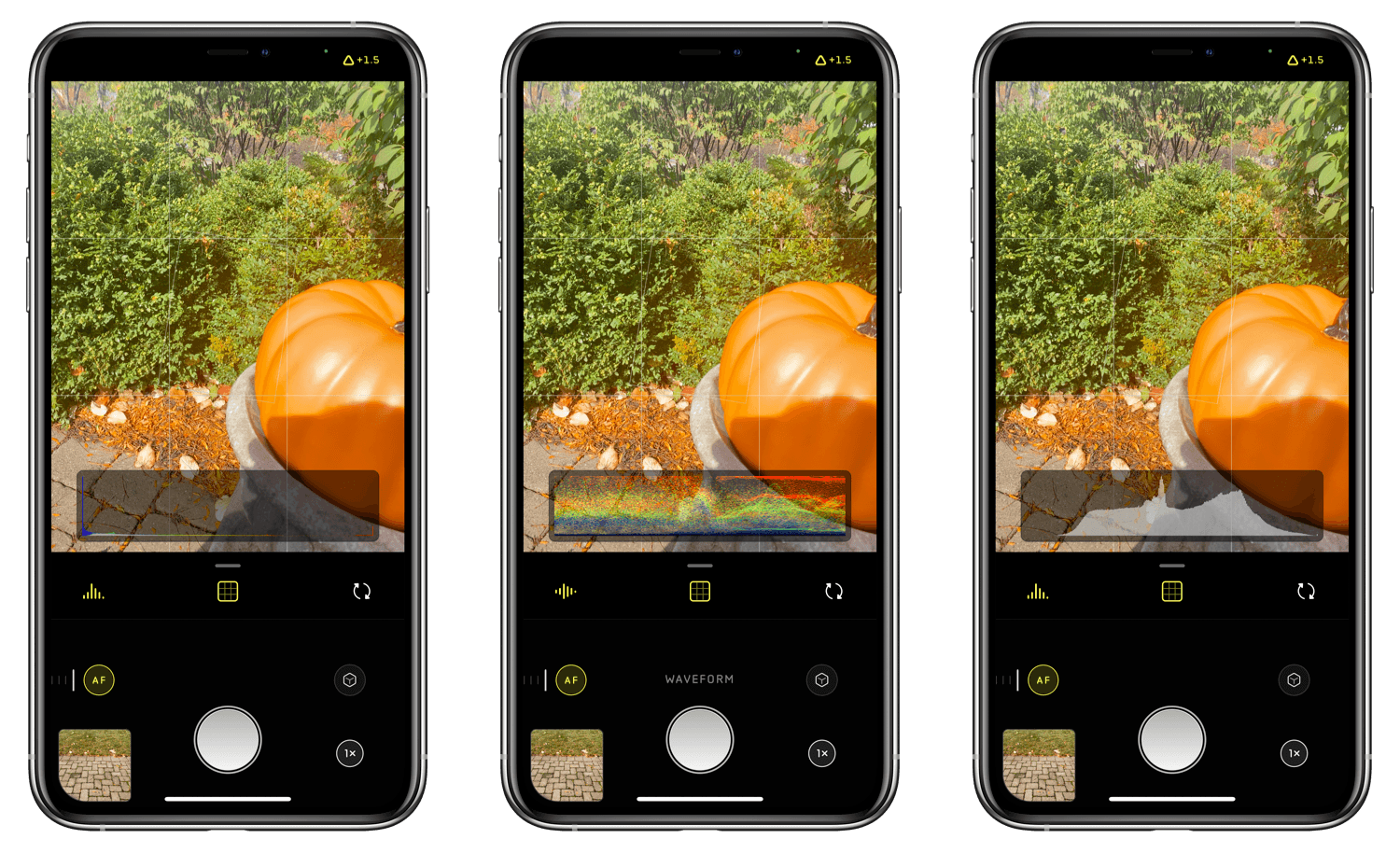 Halide Mark II Review The Convenience of Computational Photography and